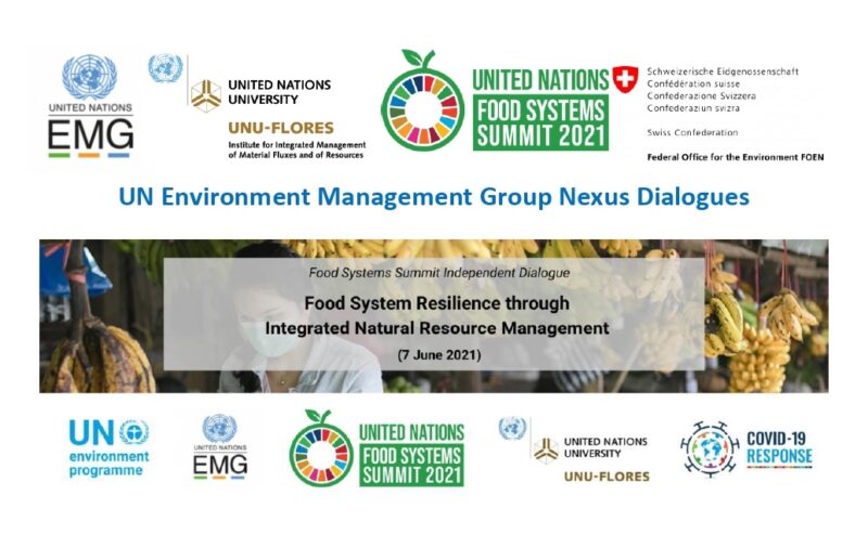 Food System Resilience through