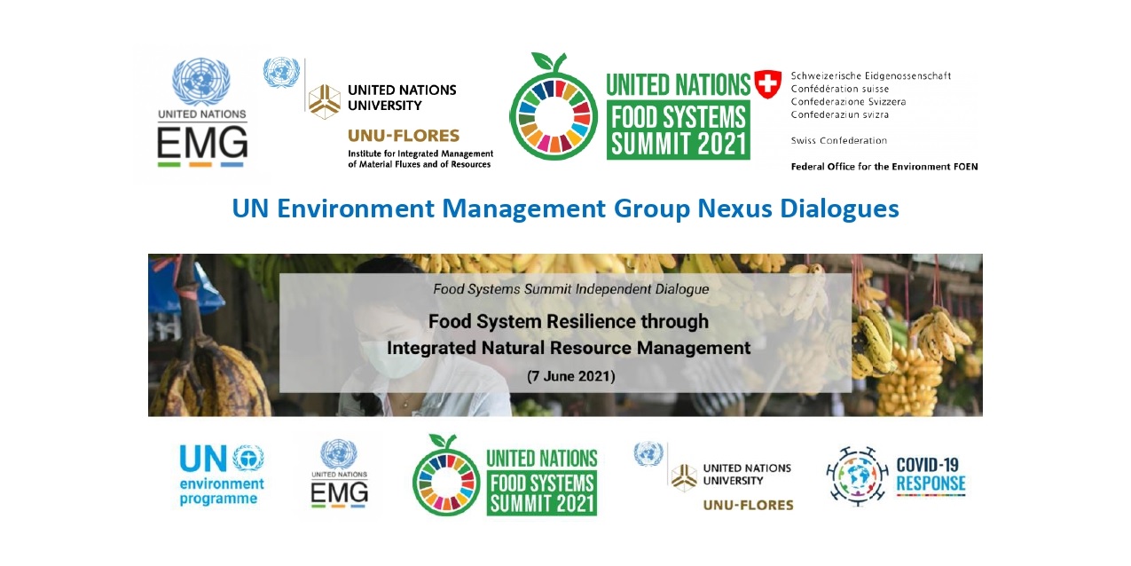 Food System Resilience through